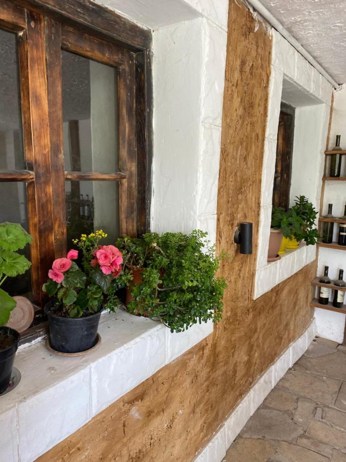 EleGaya Guest house Ijevan Extérieur photo